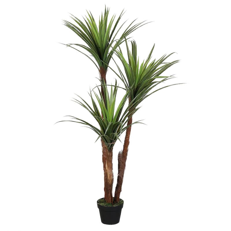 Artificial Plant